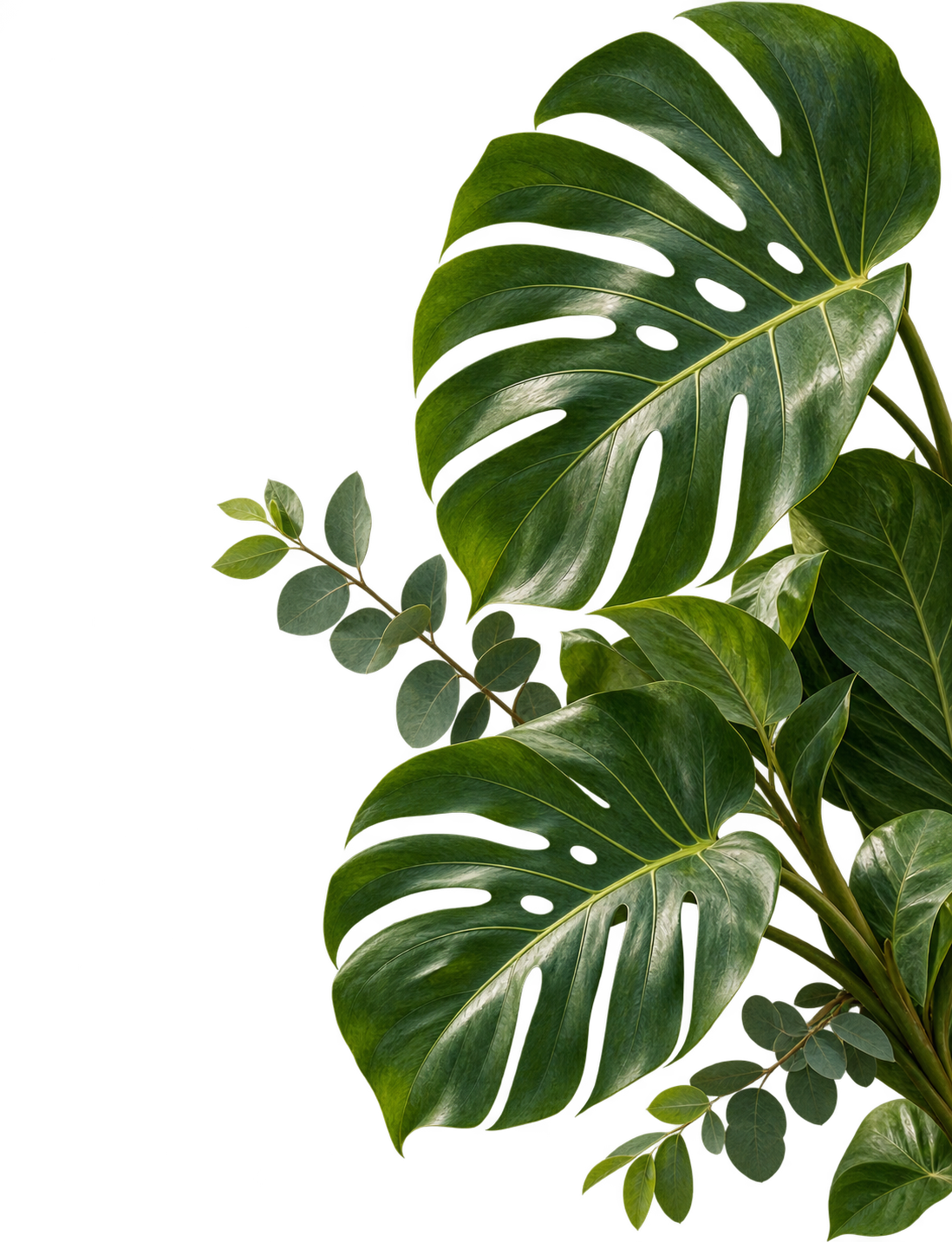 Botanical leaf accent